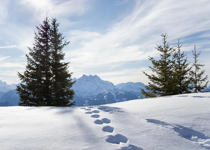 Savoie 1 By Interhome