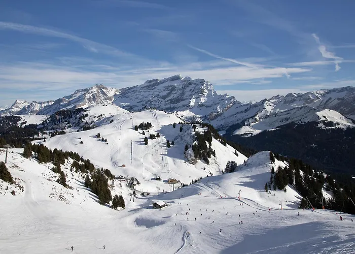 Savoie 1 By Interhome Apartament Villars-sur-Ollon